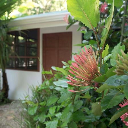 Hotel Jungle'S Edge Nosara Exterior foto