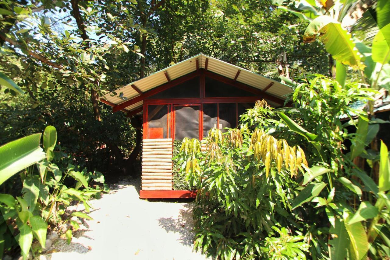 Hotel Jungle'S Edge Nosara Exterior foto