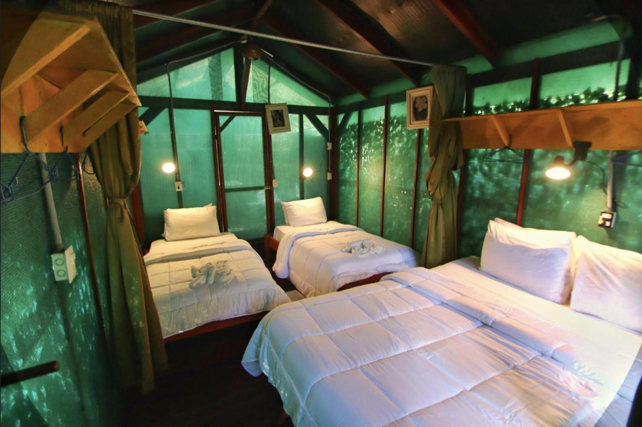 Hotel Jungle'S Edge Nosara Exterior foto