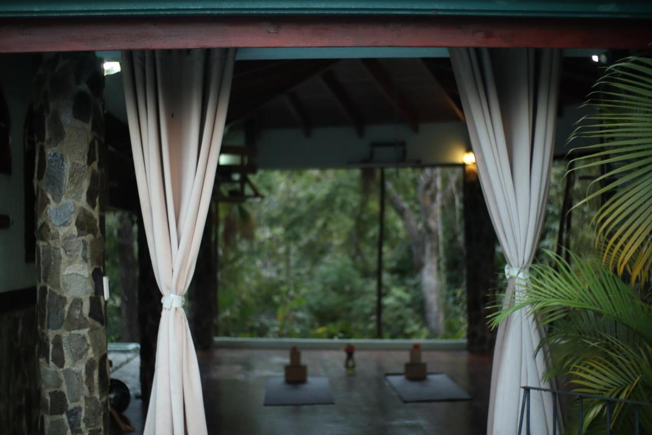 Hotel Jungle'S Edge Nosara Exterior foto