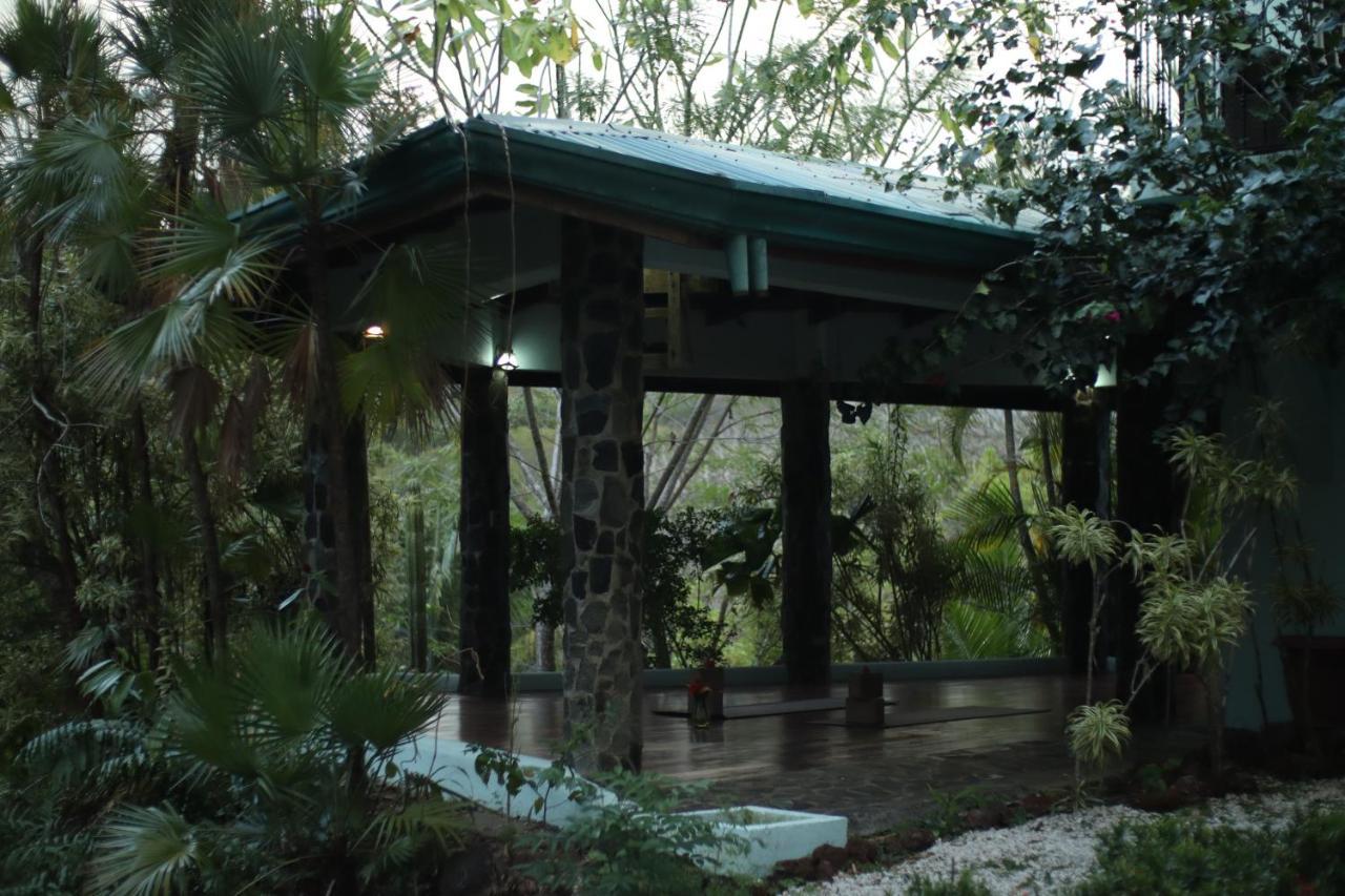 Hotel Jungle'S Edge Nosara Exterior foto