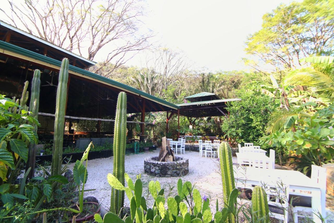 Hotel Jungle'S Edge Nosara Exterior foto