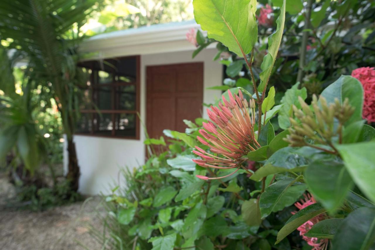 Hotel Jungle'S Edge Nosara Exterior foto