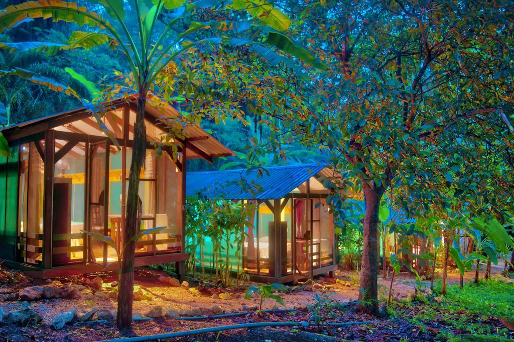 Hotel Jungle'S Edge Nosara Exterior foto