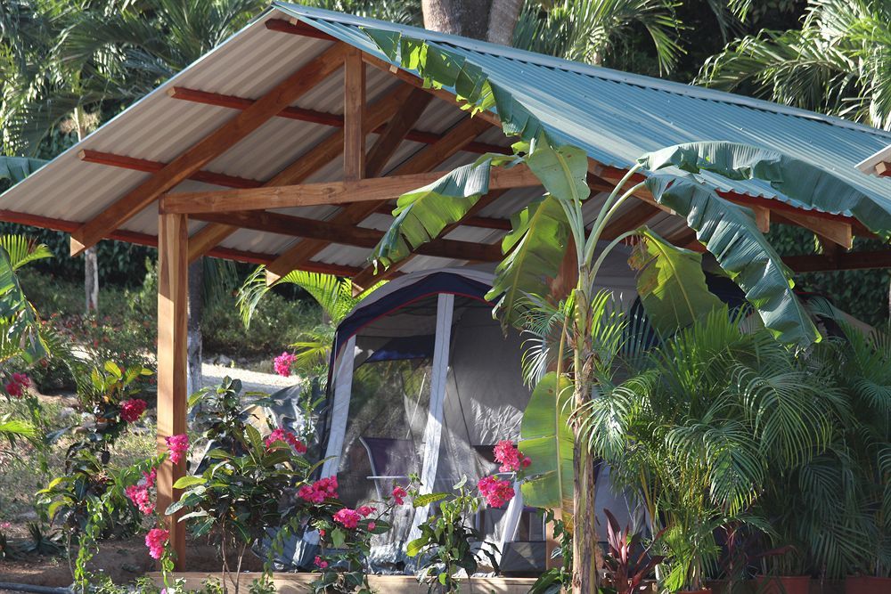 Hotel Jungle'S Edge Nosara Exterior foto